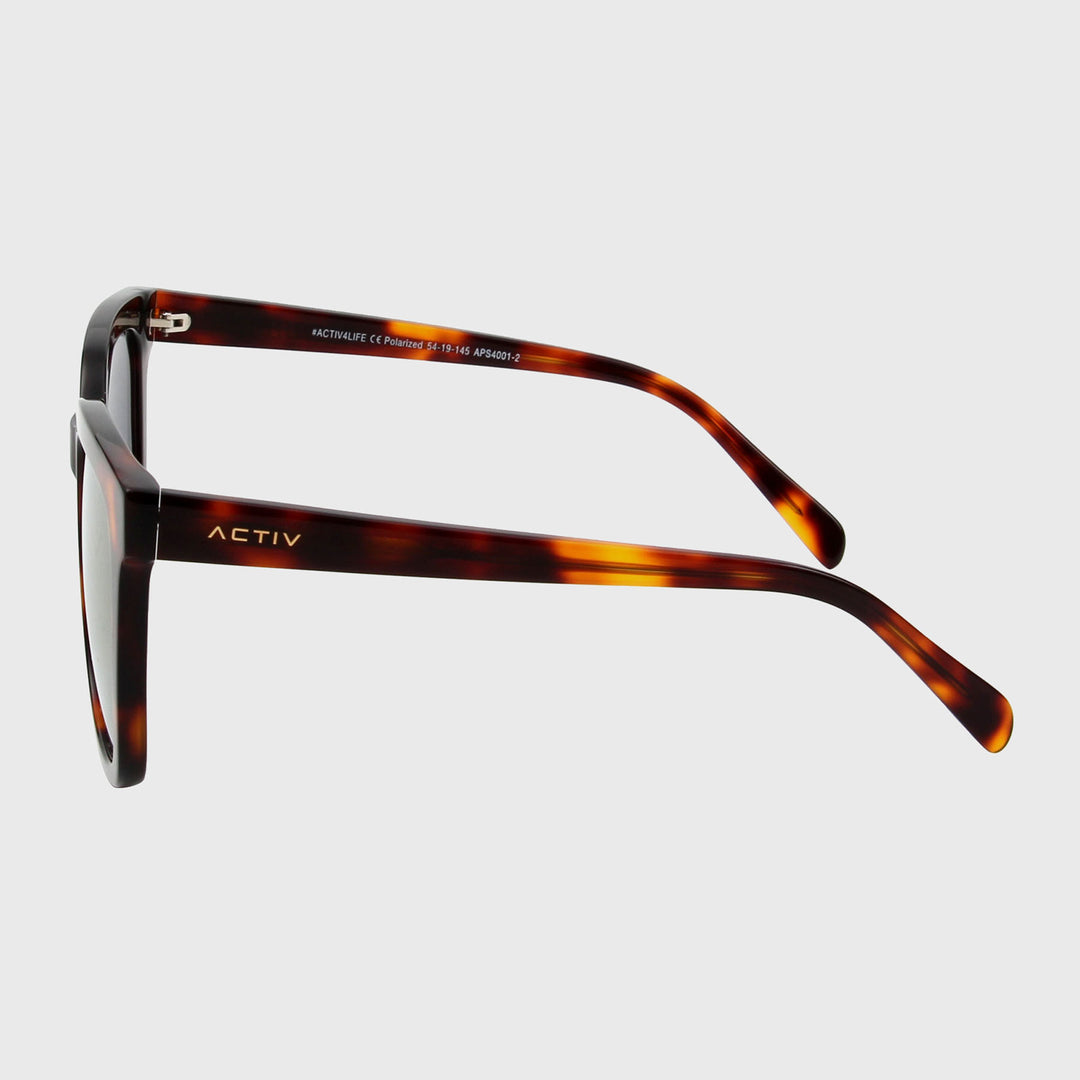 ACTIV - RMU Gloss Tortoise